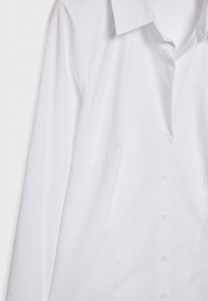 Chemise ajustée basique Chemise ajustée basique