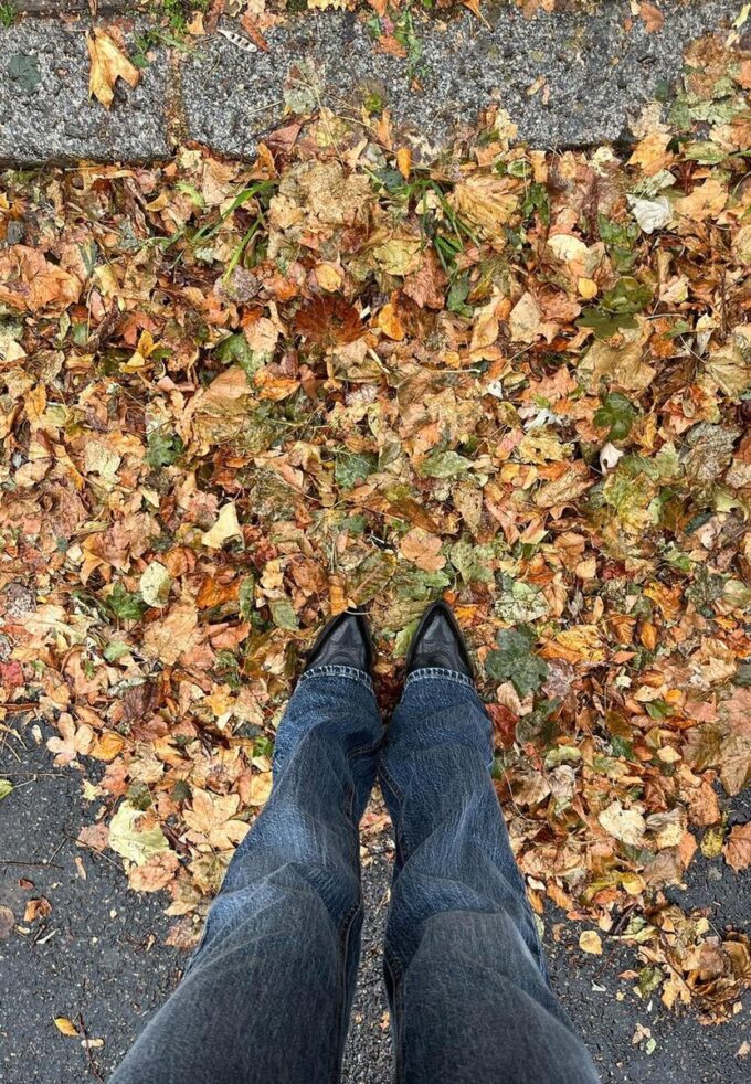 Jean bootcut taille basse