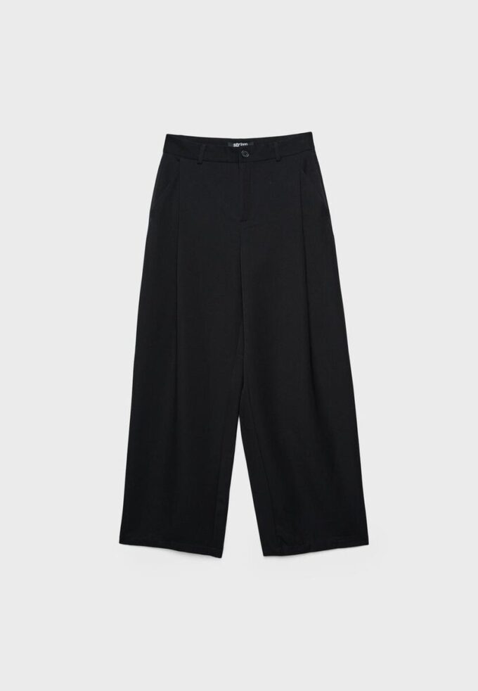 Pantalon droit élégant avec pinces Pantalon droit élégant avec pinces